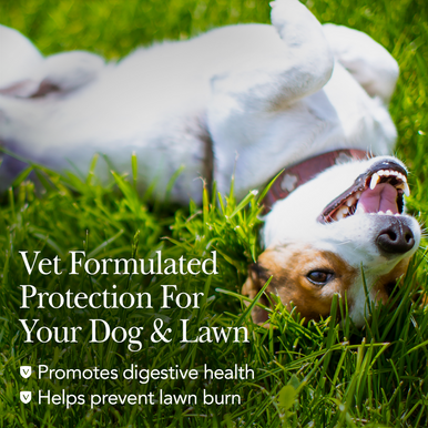 NutriVet Grass Guard Max