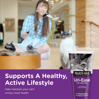 NutriVet Uri-Ease Cat Paw Gel