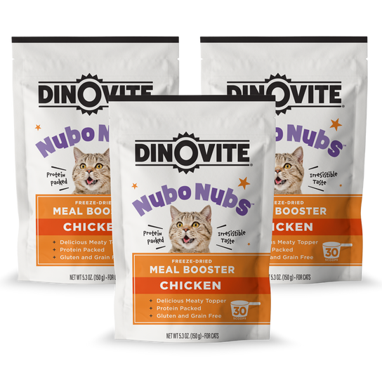 1009008 Yummy Chick 'N Doodle Front 3-Pack