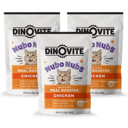 1009008 Yummy Chick 'N Doodle Front 3-Pack