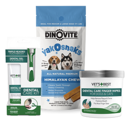 Dental Care Bundle