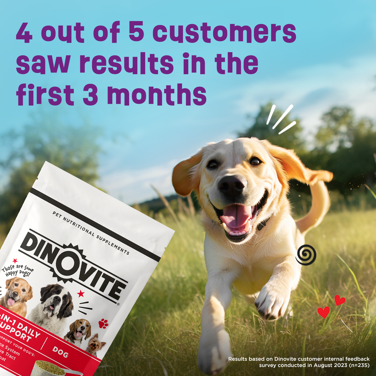 4 out of 5 customers saw results in the first 3 months!