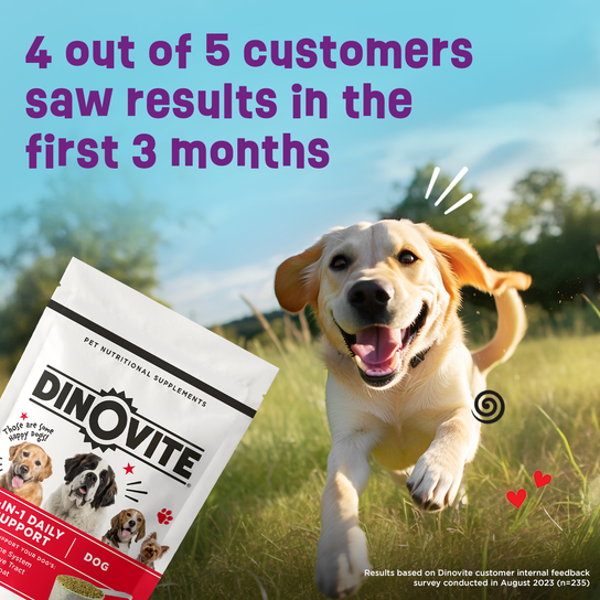 4 out of 5 customers saw results in the first 3 months!