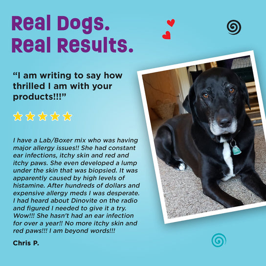 Real Dogs. Real Results. 
