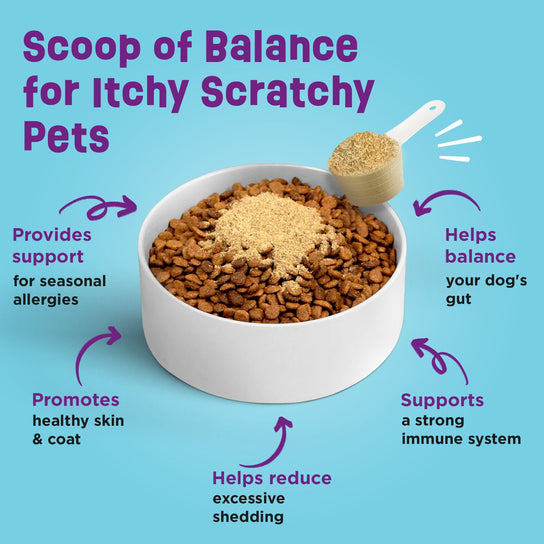 Scoop of Balance for Itchy Scratchy Pets!