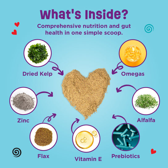 What's Inside? Comprehensive nutrition and gut health in one simple scoop! 