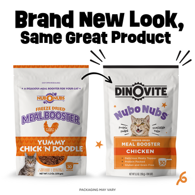 Yummy Chick 'N Doodle Front 3-Pack before and after packaging
