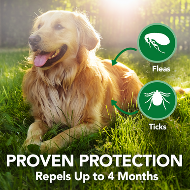 Vet’s Best Flea + Tick Repellent Collar for Dogs
